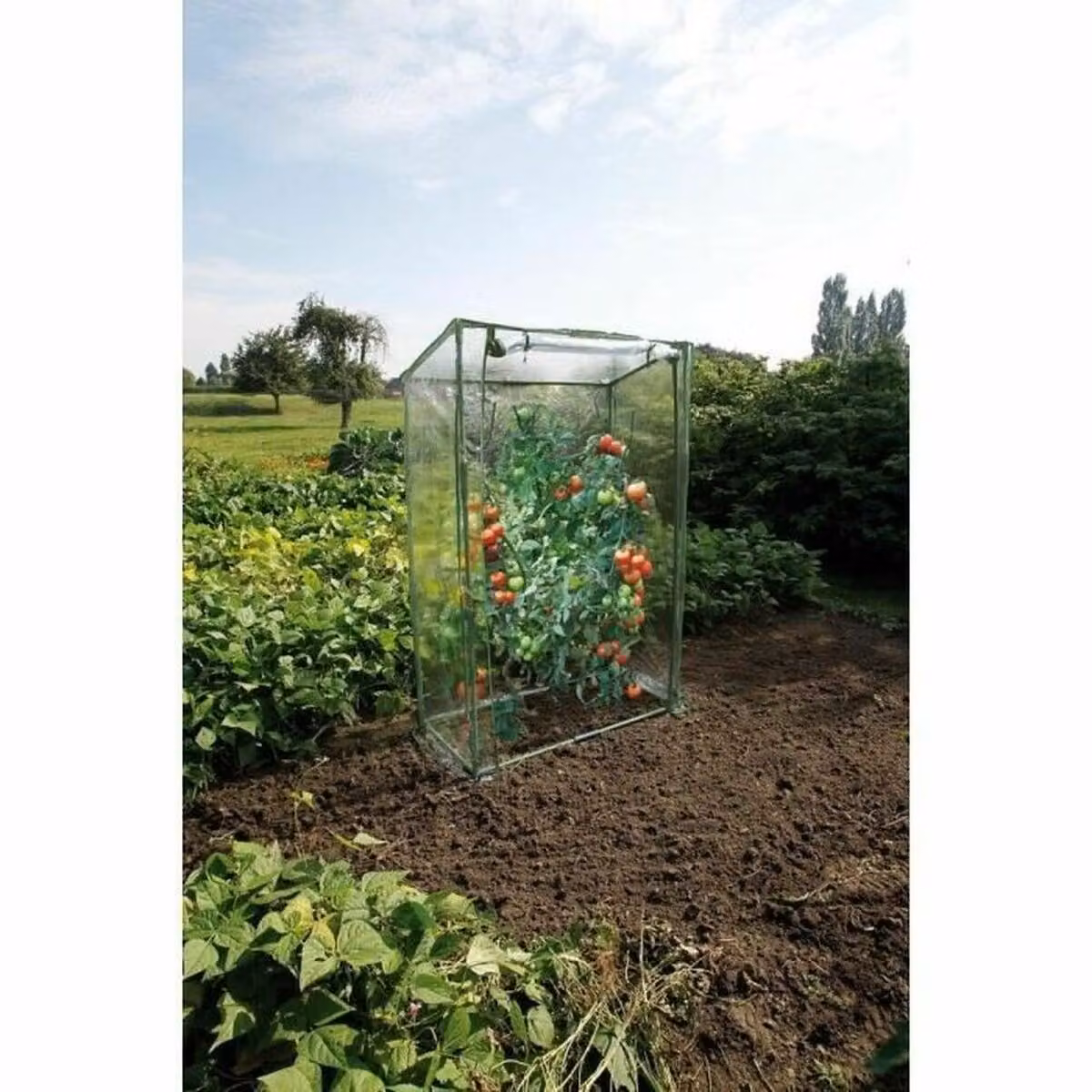 Nature Tomato Greenhouse 100x50x150 cm