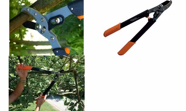 Garden PRIMUS 1105 Forbici da potatura da donna Garden PRIMUS, lunghezza: 470 mm
