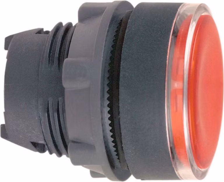 Pulsante luminoso Schneider Electric ZB5AA48