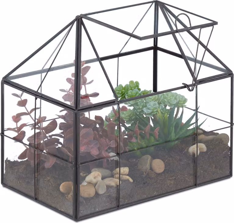 Terrario per piante Relaxdays, vetro e rame, 21x23x14 cm, serra decorativa con cactus e muschio, contenitore in vetro da davanzale, nero