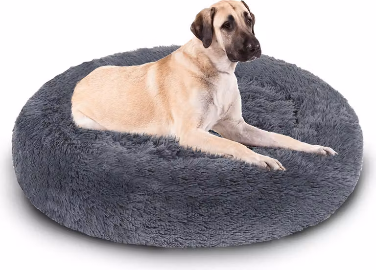 Jayseuw cane letto peluche posto letto cane cuscino gatto lavabile antiscivolo confortevole rotondo 100cm grigio scuro