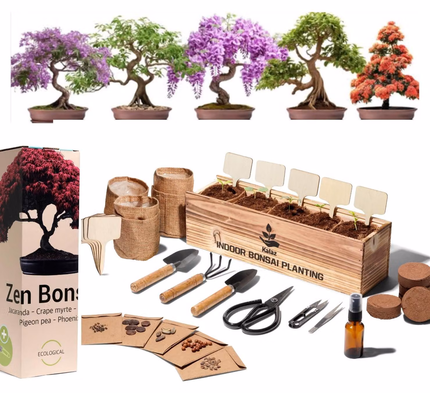 Kit completo per bonsai, con strumenti e semi
