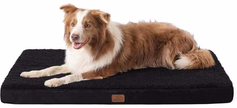 Cuccia ortopedica per cani, dimensioni 112x81x8 cm, colore nero, lavabile, adatta a cani di grossa taglia