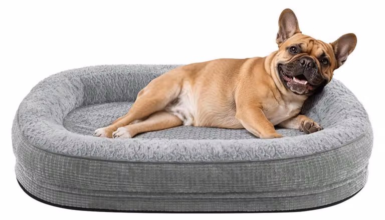 Cuccia ortopedica per cani, 71x58 cm, color grigio chiaro