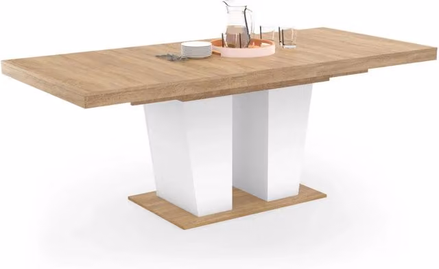 IDMarket - ELIAD tavolo da pranzo rettangolare allungabile 6-10 persone legno e bianco 160-200 cm