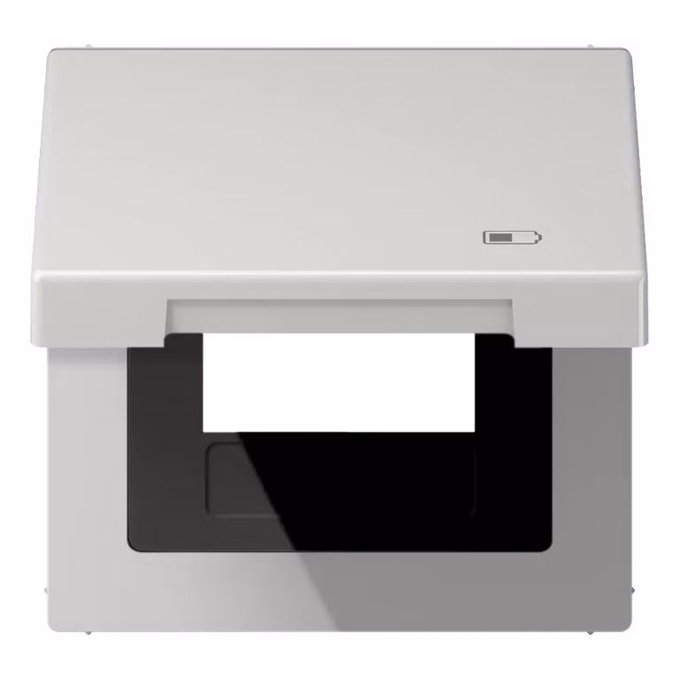 Jung LS990BFKLUSBLG Coperchio ribaltabile USB con piastra centrale