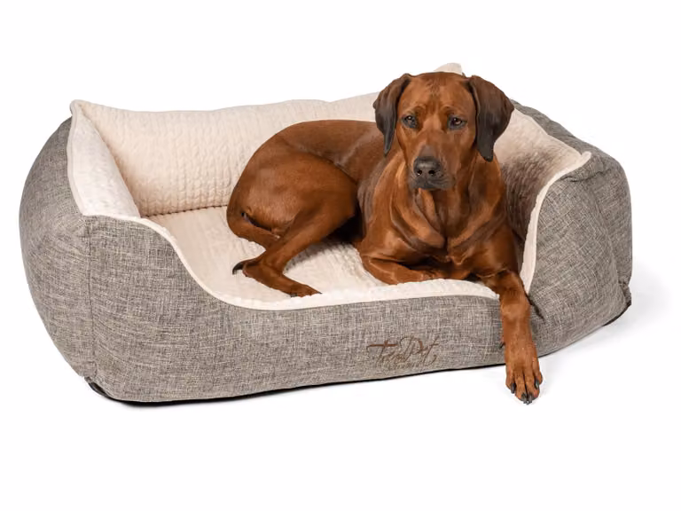 TrendPet VitaBed Classic letto ortopedico per cani beige (120x100x25cm)