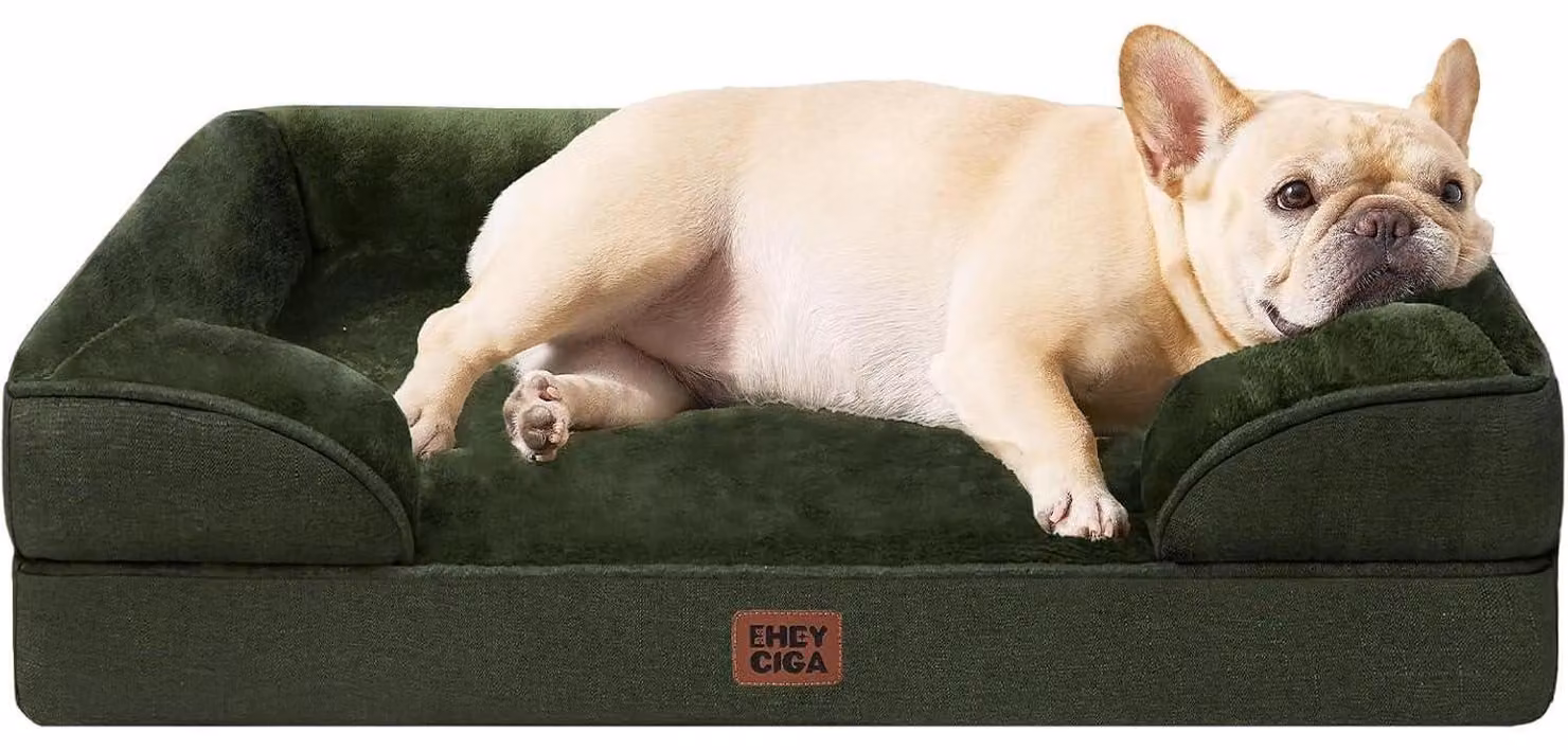 Cuccia ortopedica per cani, 76x51 cm, realizzata in memory foam, con bordo rialzato, colore verde scuro
