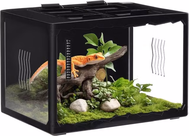 Terrario per tartarughe di terra e rettili zephmum nero L: 60 cm, P: 40 cm, H: 40.5 cm