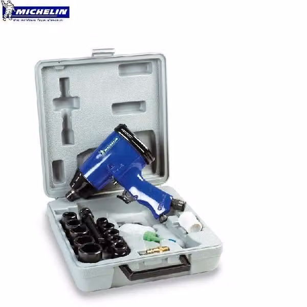 MICHELIN 6710850000 Domac