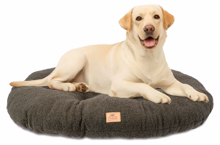 Solidchoice - Cuscino per cuccia, adatto a cani di taglia media e gatti, realizzato in tessuto boucle lavabile, dimensioni 78 x 50 cm, colore verde