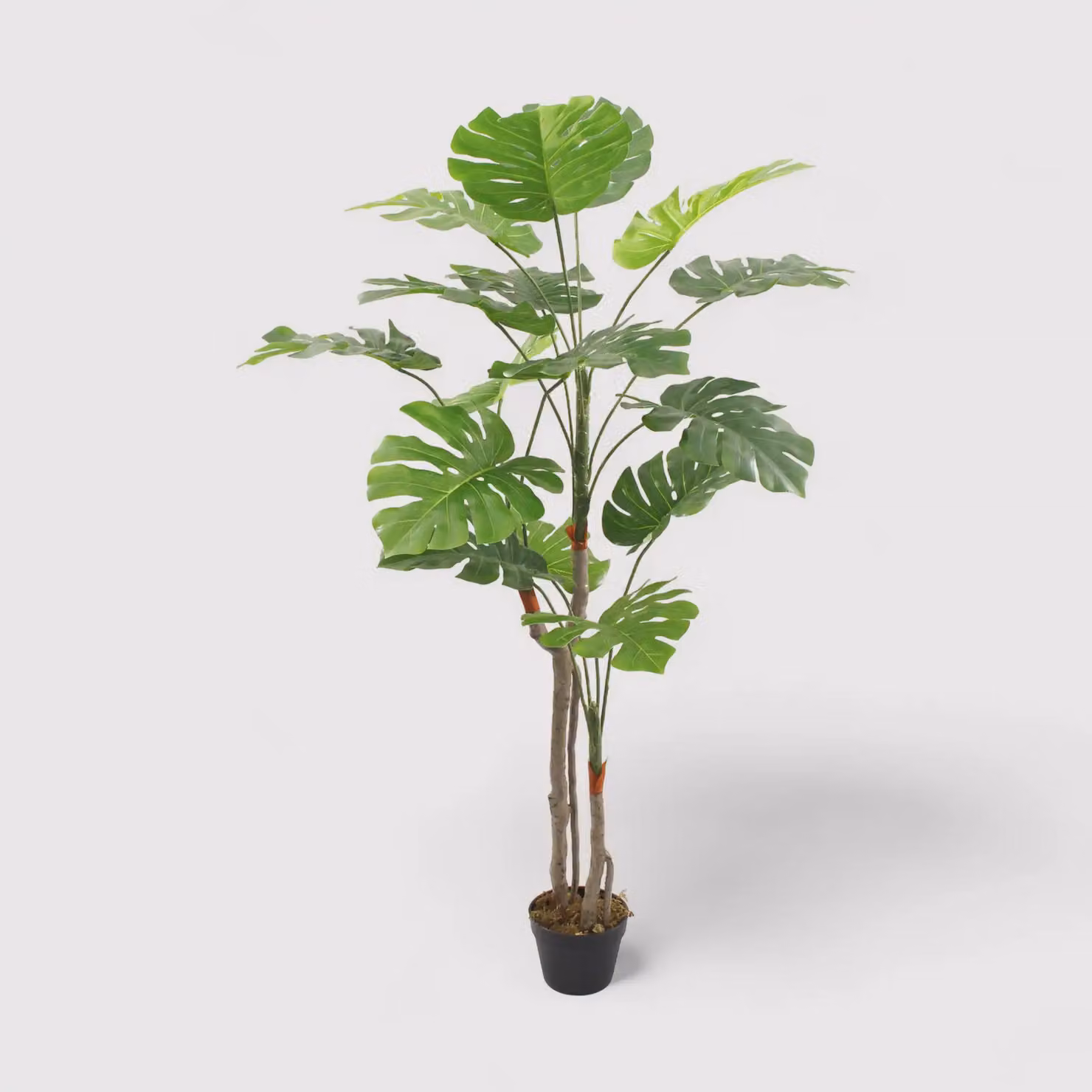 Merah - Finta monstera ornamentale e realistica H 155 cm