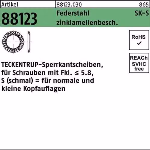 Bordi di chiusura TECKENTRUP. 88123 C 60 flZnnc SKS 6 flZn 881230309060000 (250 pezzi)
