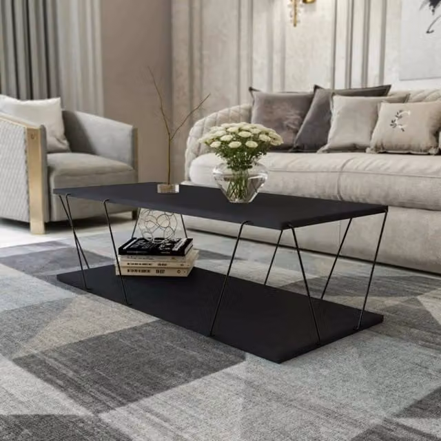 Tavolino da salotto Sarika DMORA, tavolo basso moderno con portariviste, L/P/H: 120 x 50 x 30 cm, Antracite e Nero