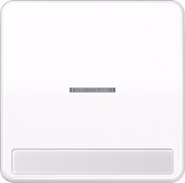 Jung rocker light/font aws per pulsante CD 590 NAKO5 WW
