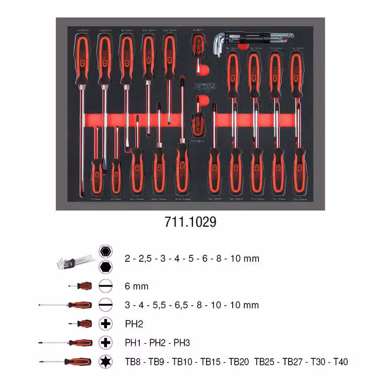Set di cacciaviti SCS, 29 pezzi con inserto sistema 1/1