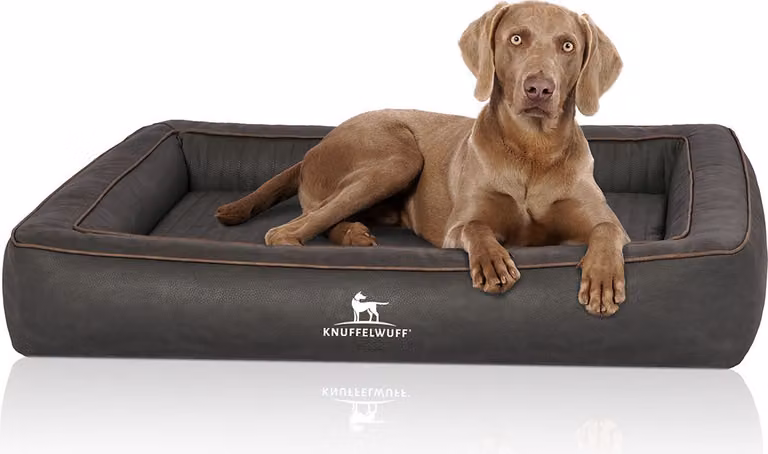 Knuffelwuff Letto ortopedico per cani in trapuntata al laser Montego 155 x 125 cm Nero