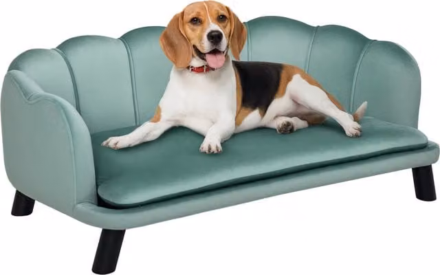 Divano per cani di taglia media e grande Aosom in velluto con cuscino imbottito e rivestimento rimovibile, L: 98.5 cm, P: 60.5 cm, H: 35.5 cm – 1