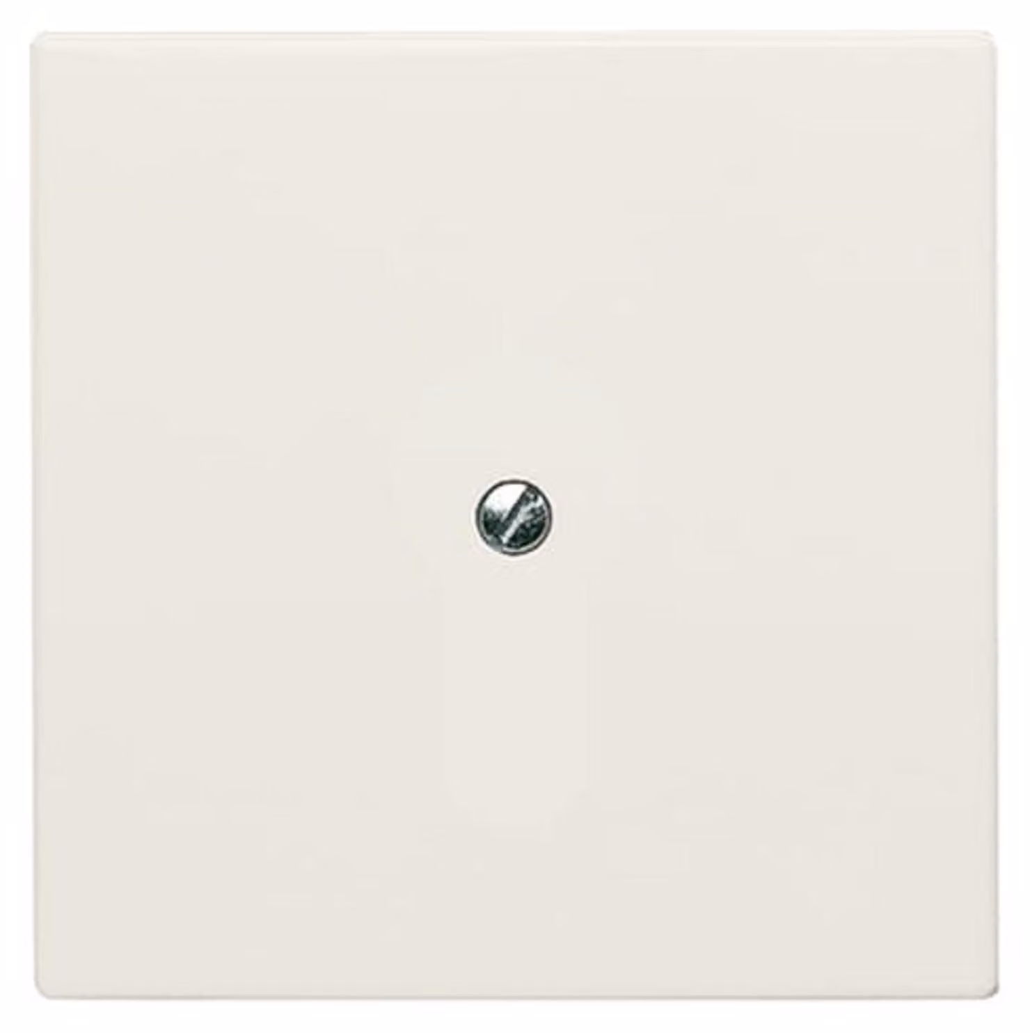 Disco centrale cieco Busch-Jaeger ws con anello di supporto 2138-32