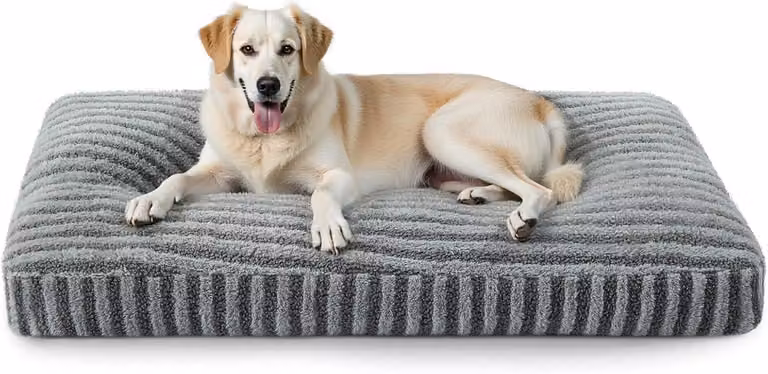Cuccia per cani, dimensioni 119x74x10 cm, taglia XXL, adatta a cani di grossa taglia, lavabile, morbida e traspirante