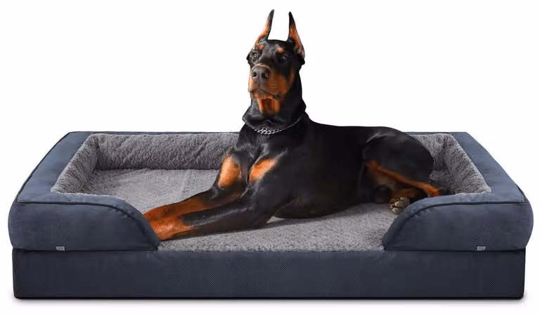 Cuccia ortopedica per cani, colore grigio scuro, dimensioni 122x89x17 cm