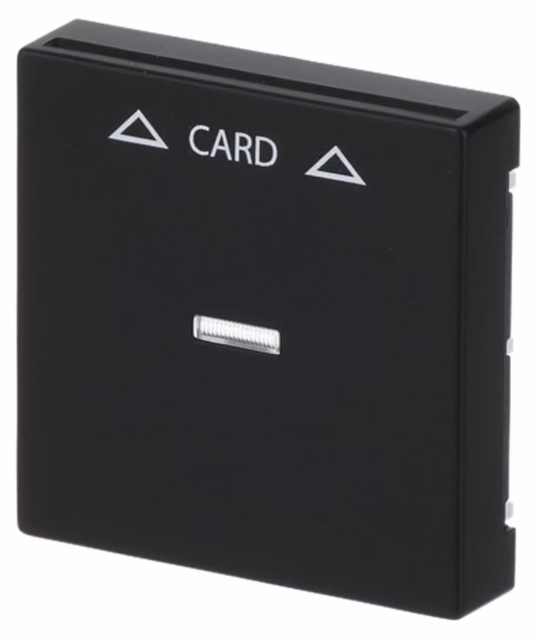 Busch Jaeger Zentralscheibe sw mt für Cardschalter 1792-885 (1710-0-3905)