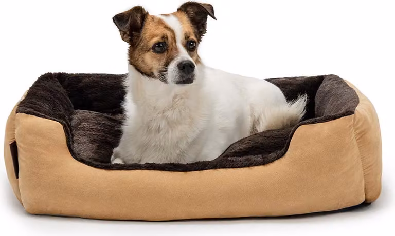 lettino per cani lionto, morbido lettino con cuscino reversibile rimovibile e base antiscivolo, 60x48 cm, beige/marrone