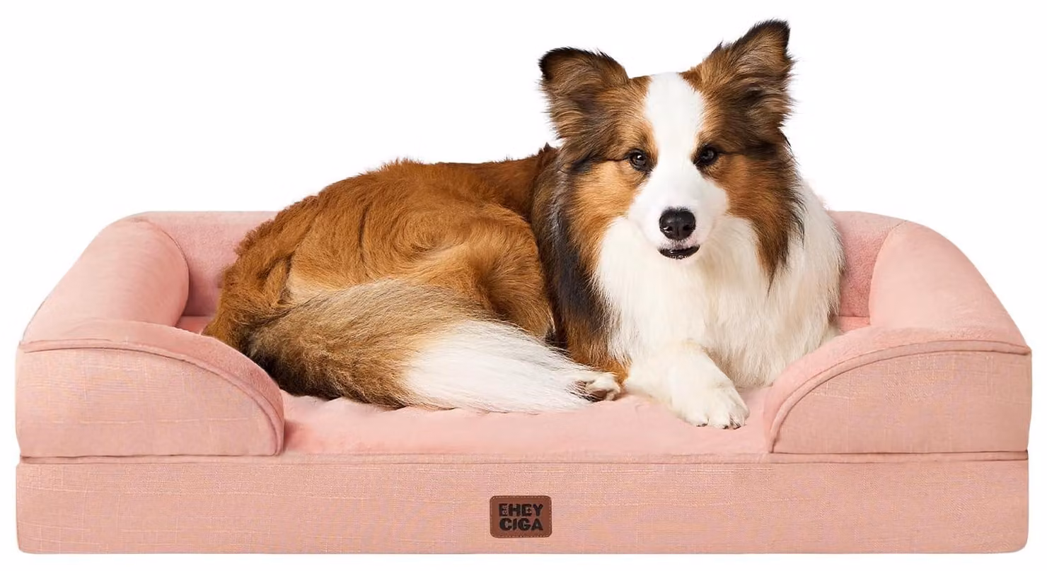 Cuccia ortopedica per cani - Realizzata in memory foam - Lavabile - Grande