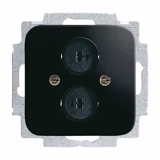 Busch-Jaeger 2147 U-215, piastra centrale con anello di supporto, colore nero