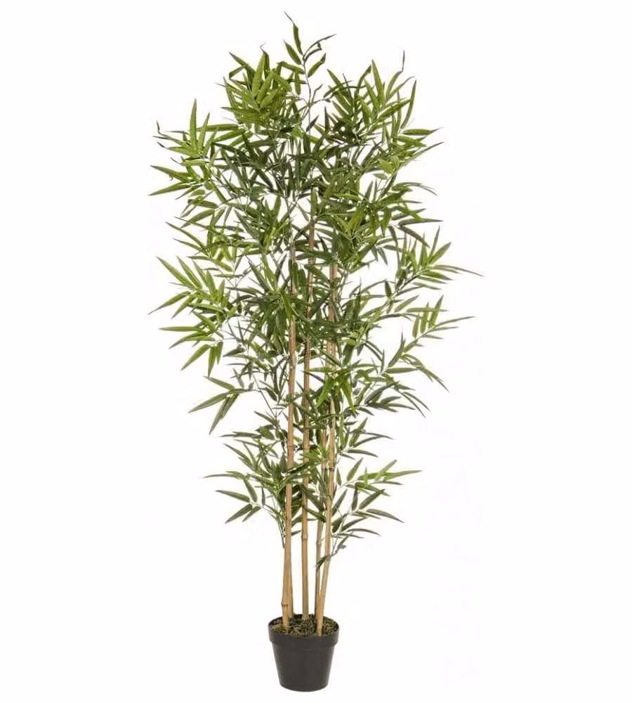 BIZZOTTO Pianta Bamboo con vaso H155 cm - Decorazione in plastica e cemento