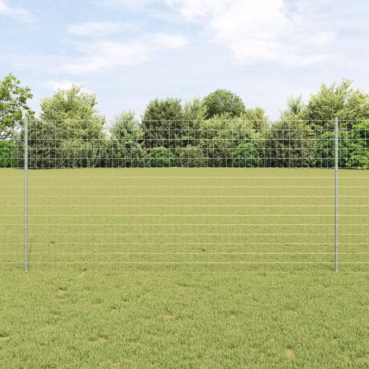 Maison Exclusive - Recinzione con Posto Argento 1,2 x 10 m Acciaio