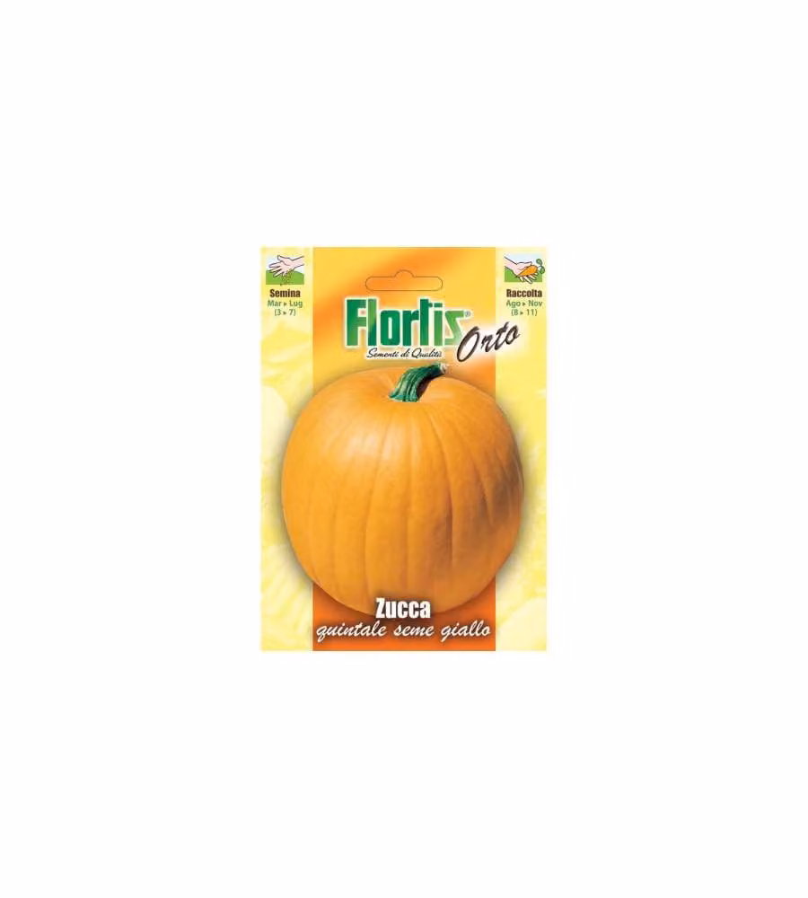Semi di Zucca Quintale