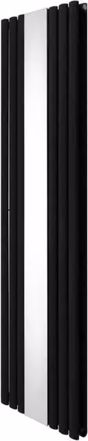 Radiatore Ovale a Specchio a Doppia Colonna Verticale Nero 1800mm x 500mm