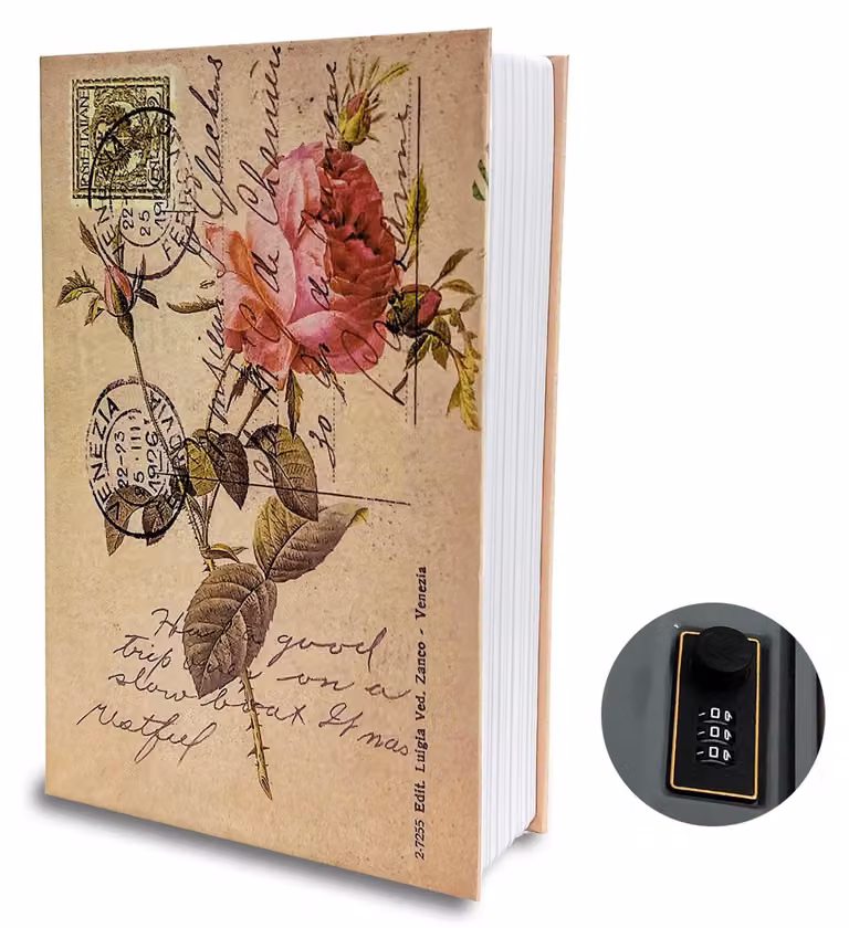 Cassaforte per libri con combinazione numerica - Cassaforte per libri - Rinforzata - Impermeabile - 24 x 15,5 x 5,5 cm - Ideale come nascondiglio