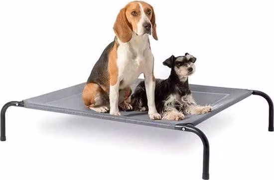 Letto rialzato per cani, grigio medio, per interni ed esterni, da campeggio, taglia M