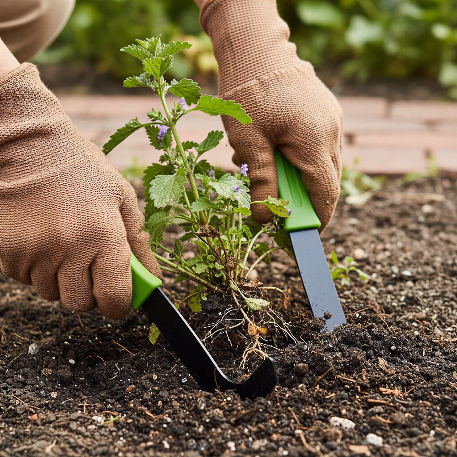 Set di coltelli per erbacce, 2 pezzi, 20 cm – Strumento per rimuovere le erbacce – Coltello da giardino con lama in acciaio inossidabile – Impugnatura antiscivolo – Per erbacce e muschio [11302]