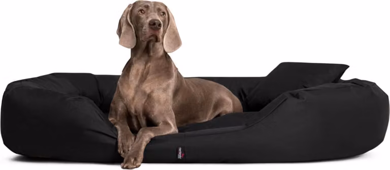 tierlando dog bed SAMMY Divano ovale per cani di taglia grande Robusto bordo in poliestere - Dimensioni: 140x105cm | Colore: 03 Nero