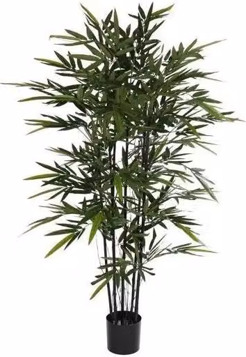 Bamboo nero artificiale in vaso H150 cm