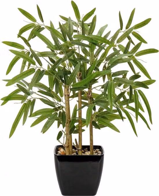 Bonsai in bambù artificiale da 43 cm in vaso nero. Pianta da interno artificiale per soggiorno, sala da pranzo, bagno. Pianta decorativa