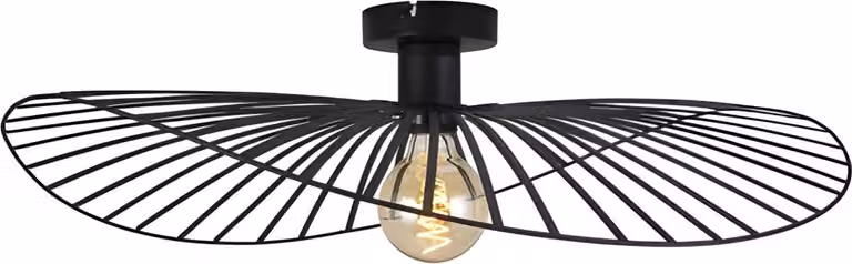 Lámpara De Techo TOOLIGHT APP1843-1CP Black0