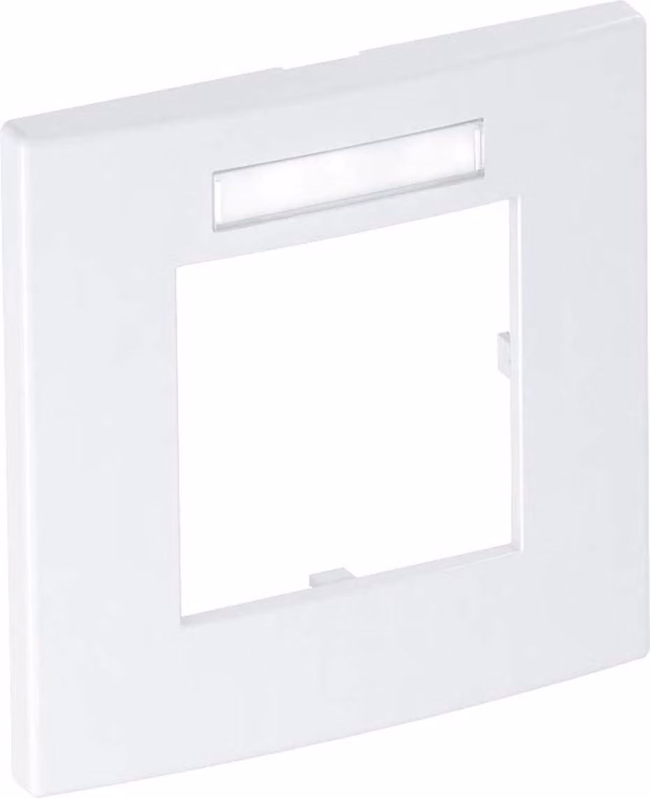 OBO Bettermann Vertr Cover frame 1gang 84x84mm rws AR45-BSF1 RW