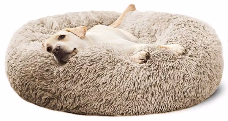 Solidchoice - Cuscino a forma di ciambella, ideale per cani e cuccioli, taglia grande