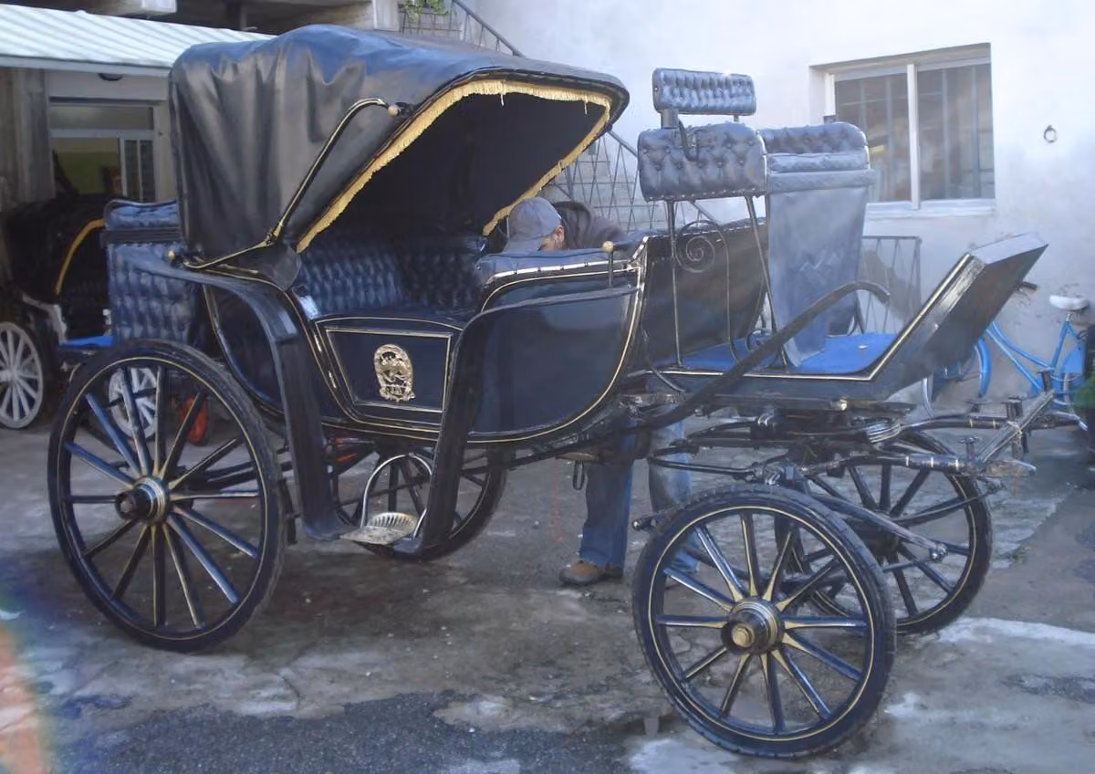 Casa Padrino Carrozza barocca trainata da cavalli blu/oro - Magnifica carrozza in stile barocco - Nobile e magnifica