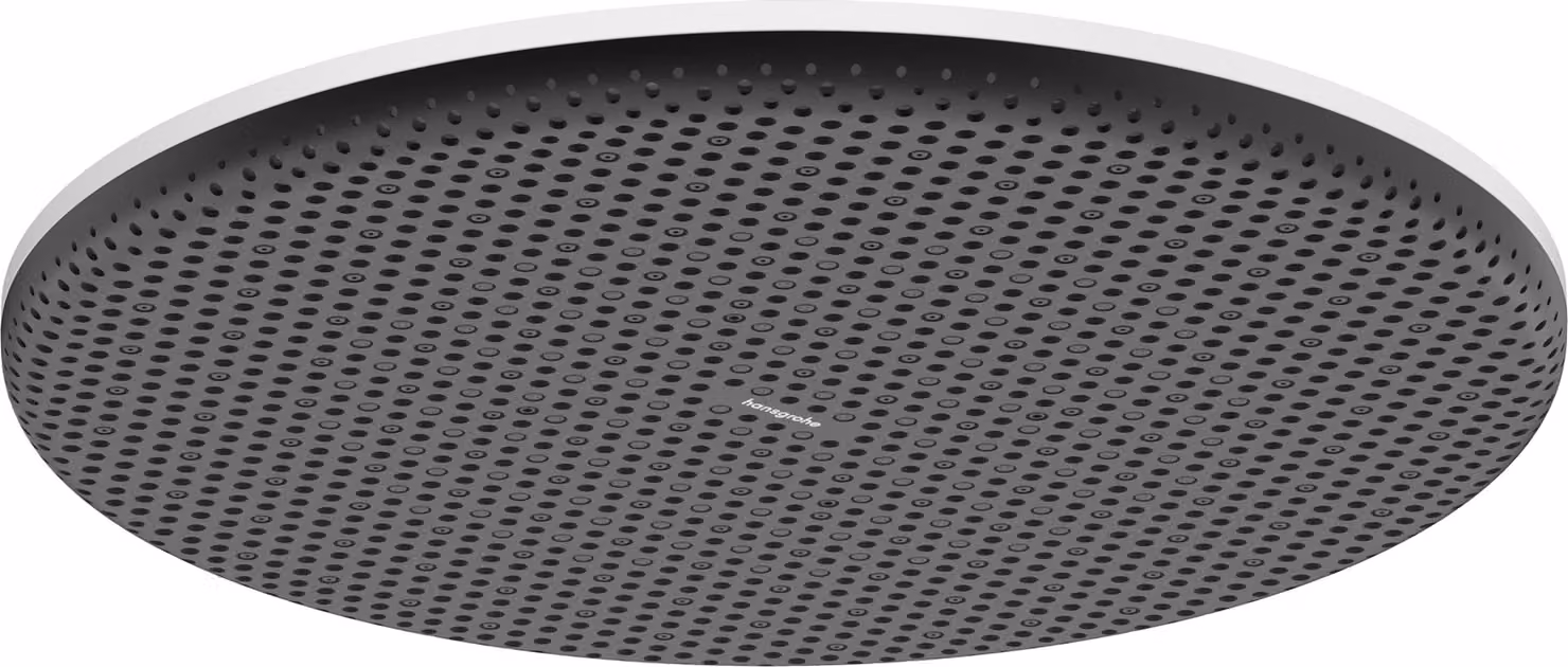 hansgrohe Raindance Alive S Douche de tête 300 1jet EcoSmart, 24521700, 24521700