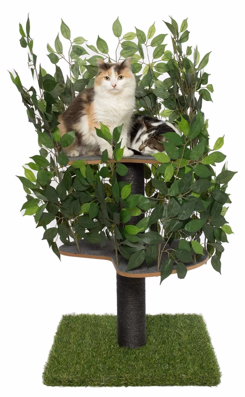 Albero multifunzionale per gatti con elementi rimovibili
