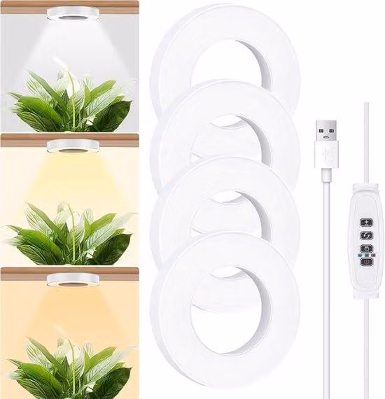 Set di 4 luci con timer e regolazione dell'intensità luminosa