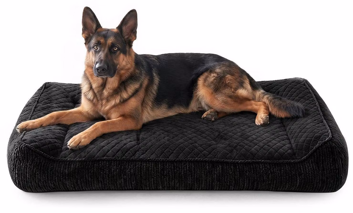 Cuccia ortopedica per cani, grande, lavabile, con rivestimento removibile, antiscivolo, con bordo rialzato, dimensioni 122x89x25 cm, colore nero