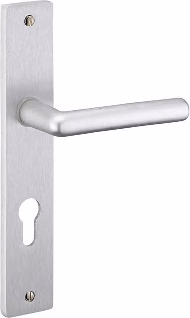 Set per porte d'accesso Crecy-Gat in zinco color argento opaco effetto acciaio inossidabile
