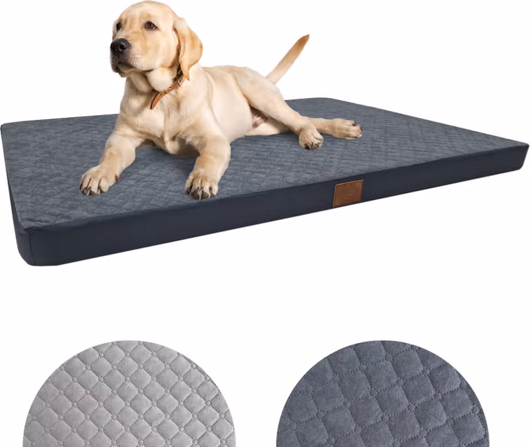 Letto ortopedico per cani Cuscino per cani grandi 110x70x7cm Antracite