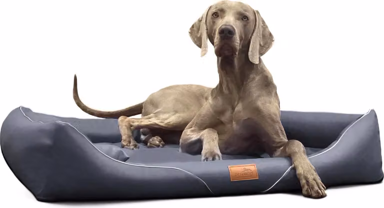 tierlando® Letto ortopedico per cani WILLIAM Easy-Clean | Divano per cani - Dimensioni: 130x100cm | Colore: 02 Graphite